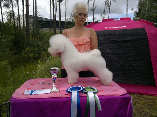 BOS & CC Whitemoonwalker Dr House 