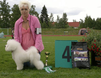 Sakke Best In Show 4 veteran.