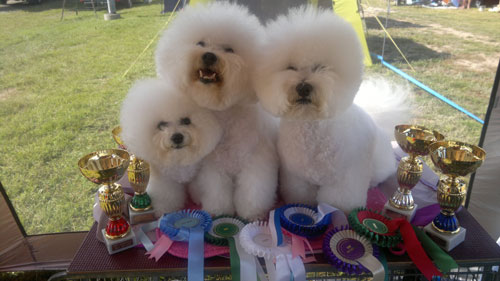 Saara, Sakke & Seppo. 