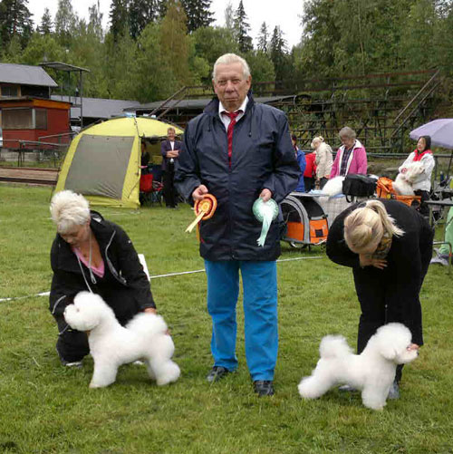 BOB Whitemoonwalker Best Ever Moonwalk