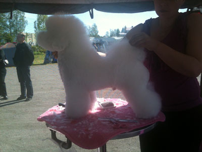 "Seppo" W. Best Ever Moonwalk