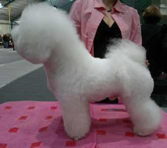 Sulo W. Near My Heart