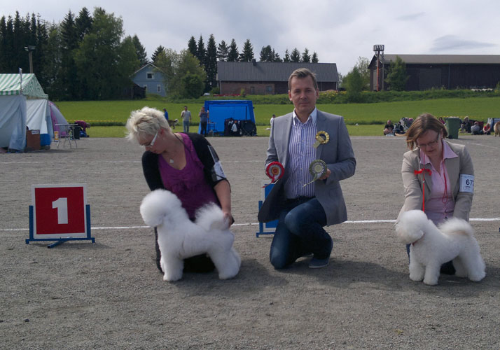 Sakke rop veteraani Tuuri.