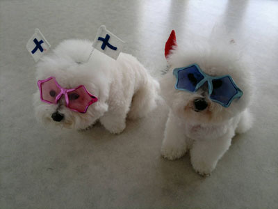 Minni ja Sakke lähdössä vappu bileisiin.