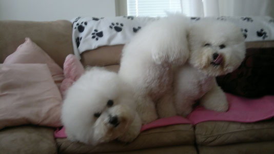 Seppo, Sakke & Waldo.