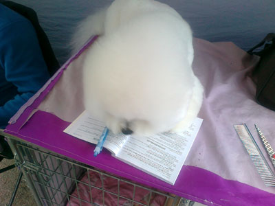 Waldo tutkii luetteloa.